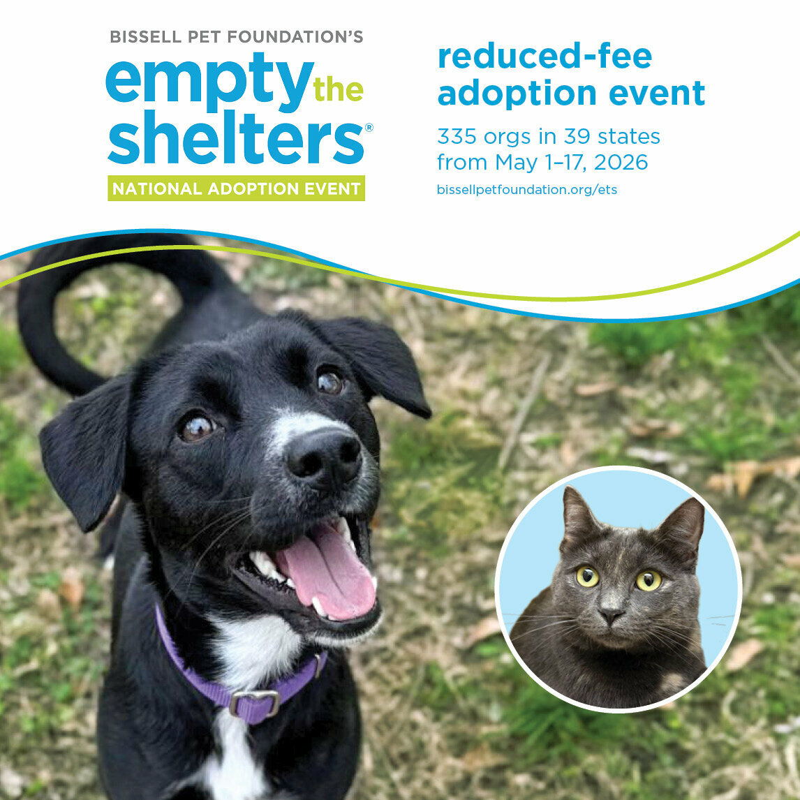 Empty the Shelters Event 