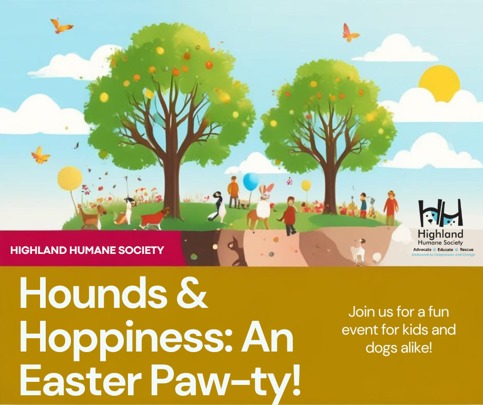 Hounds & Hoppiness: An Easter Pawty!