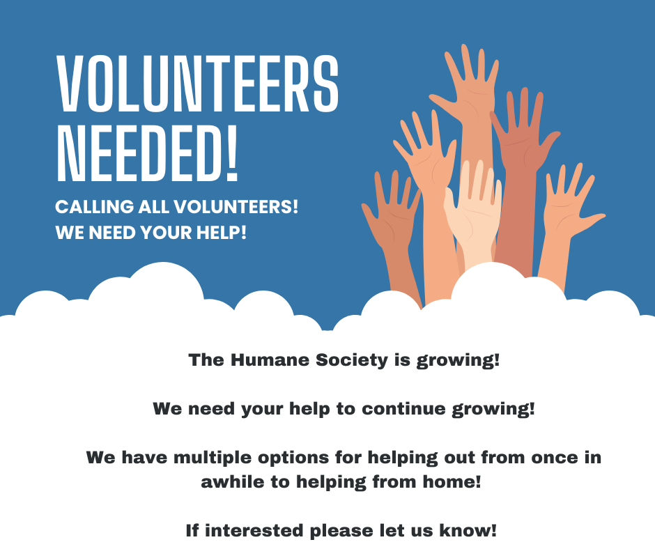 Volunteer Orientation