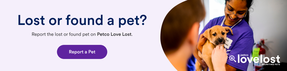 Petco Love Lost &mdash; search for lost or found pets in Highland County