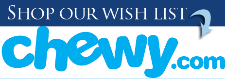 Chewy wish list logo