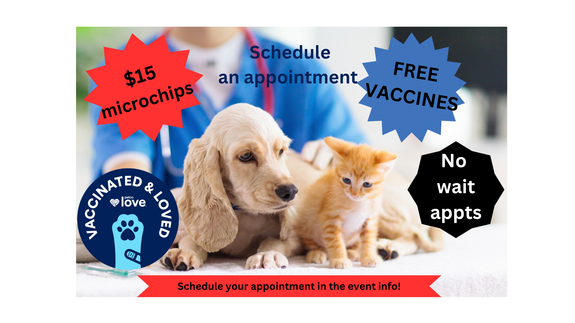 No wait vaccine appointment flyer