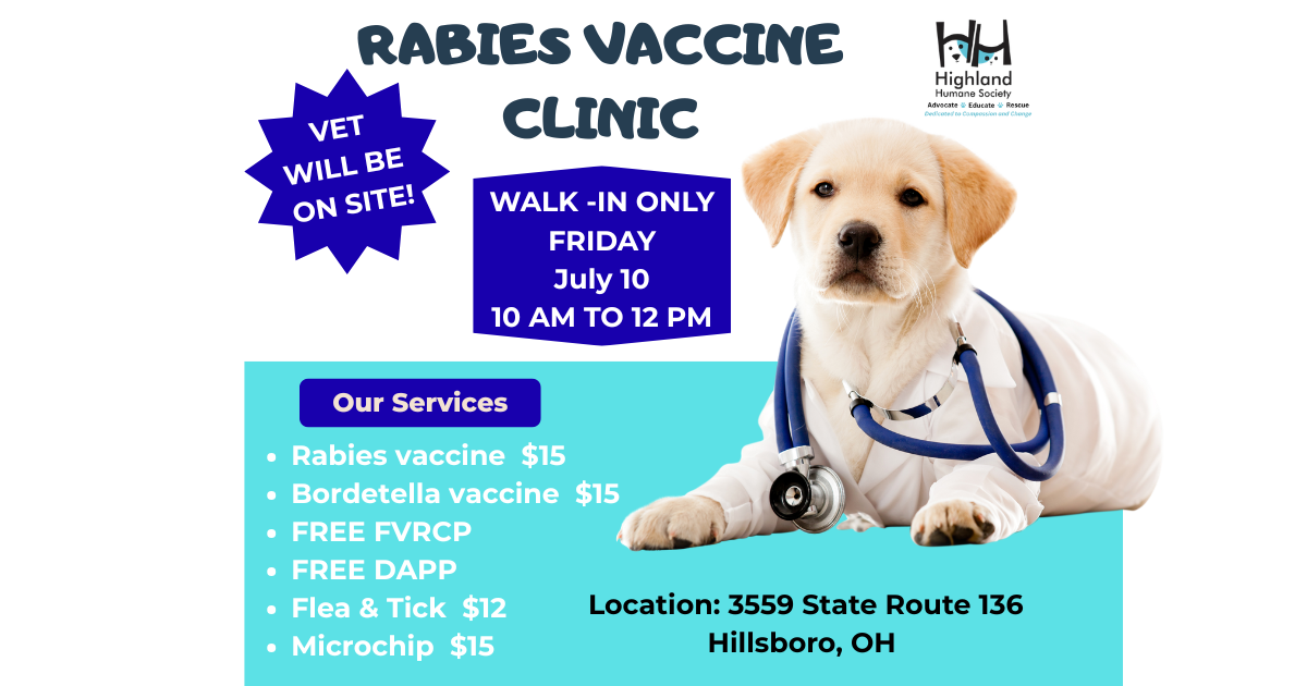 Flyer for the rabies and bordetella vaccine clinic